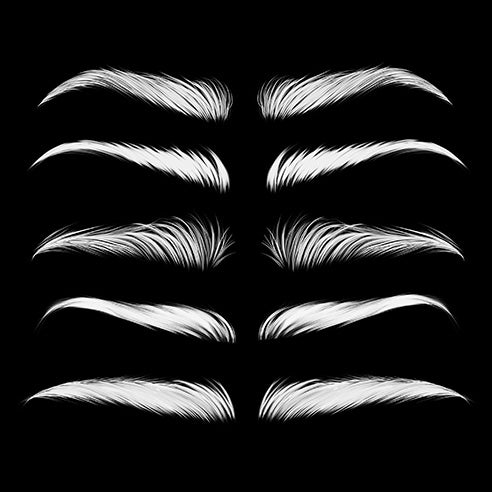 Magical Glamour Eyebrows Brush Set - Meg Bitton Productions