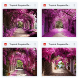 Ultimate Tropical Bougainvillea Paths Background Bundle