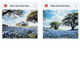 Ultimate Blue Bonnets Background Bundle