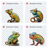 Magical Chameleon Overlays