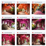 Ultimate Tropical Bougainvillea Paths Background Bundle
