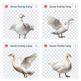 Magical Goose Overlays