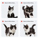 Magical Black & White Kitten Overlays