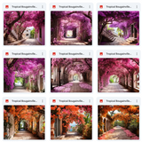 Ultimate Tropical Bougainvillea Paths Background Bundle