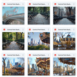 Ultimate Central Park Background Bundle