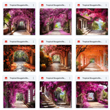 Ultimate Tropical Bougainvillea Paths Background Bundle