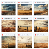 Ultimate Golden Wheat Background Bundle