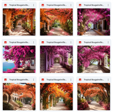 Ultimate Tropical Bougainvillea Paths Background Bundle
