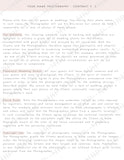 Modern Wedding Forms Templates Bundle