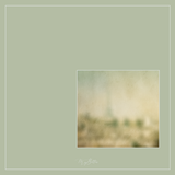 Magical Single Texture - Abstract Paris - Meg Bitton Productions