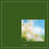 Magical Single Texture - Abstract Wildflowers - Meg Bitton Productions