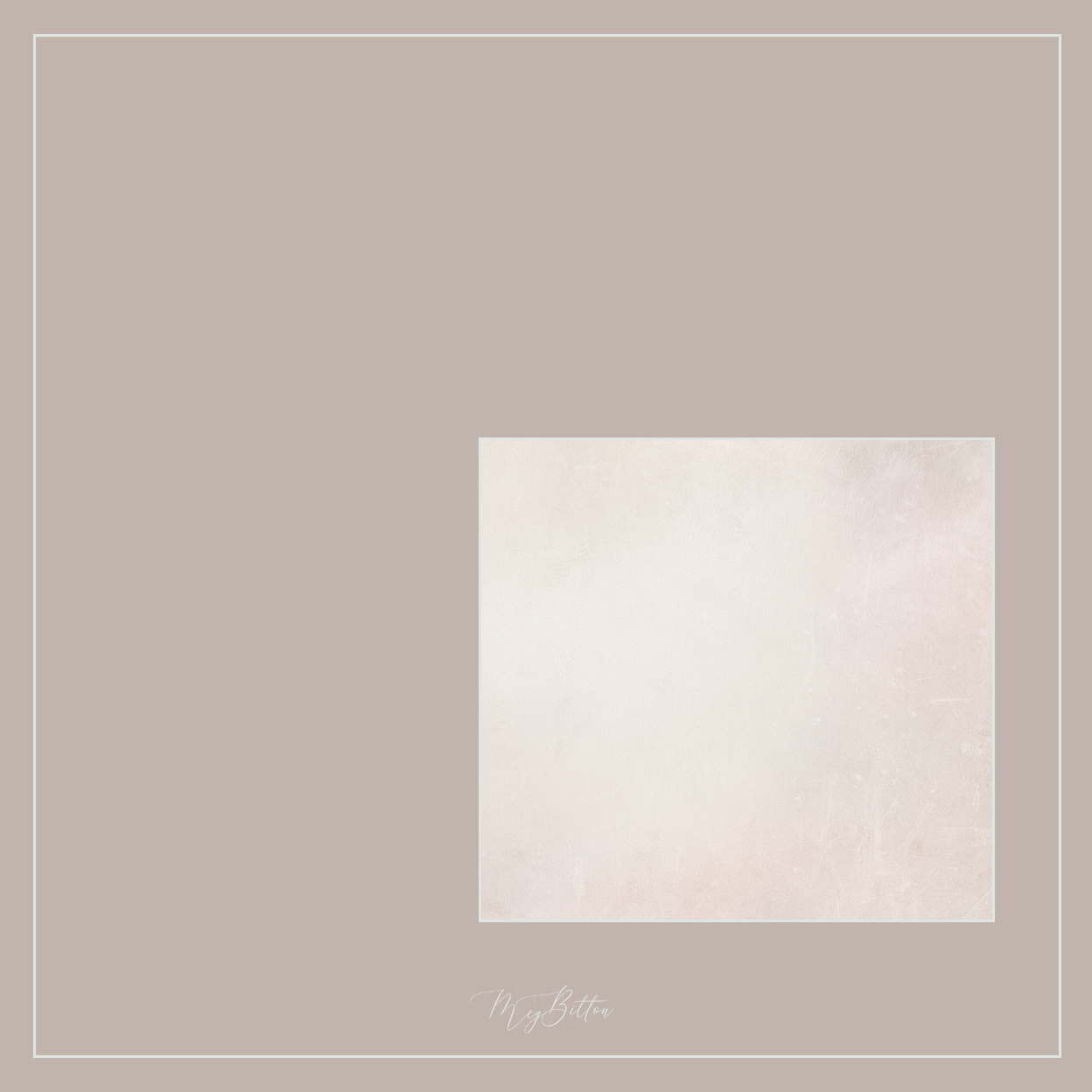 Magical Single Texture - Early Winter Snow - Meg Bitton Productions