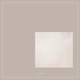 Magical Single Texture - Early Winter Snow - Meg Bitton Productions