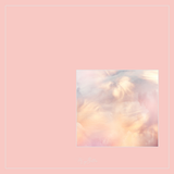 Magical Single Texture - Fluffy Dandelion - Meg Bitton Productions