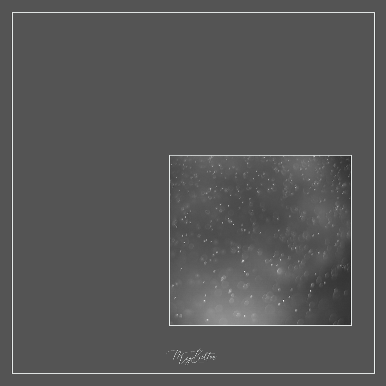 Magical Single Texture - Foggy Dream - Meg Bitton Productions