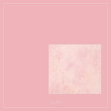 Magical Single Texture - In Style - Meg Bitton Productions