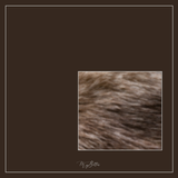 Magical Single Texture - Kitten Browns - Meg Bitton Productions
