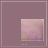 Magical Single Texture - Lavender Blooms - Meg Bitton Productions