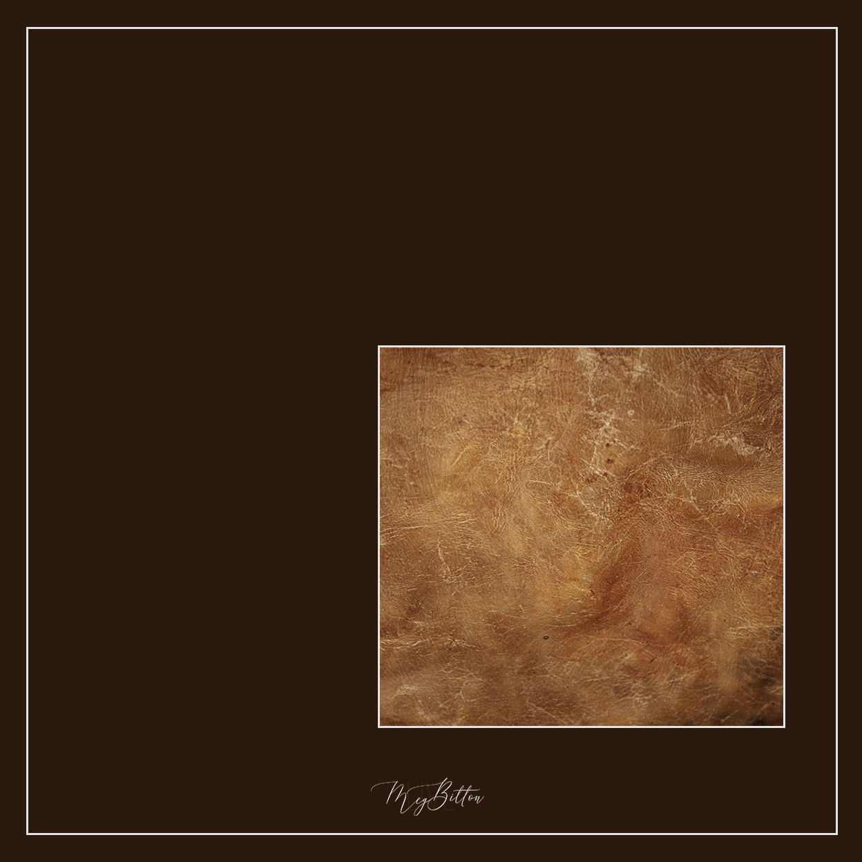 Magical Single Texture - Leather Luxury - Meg Bitton Productions