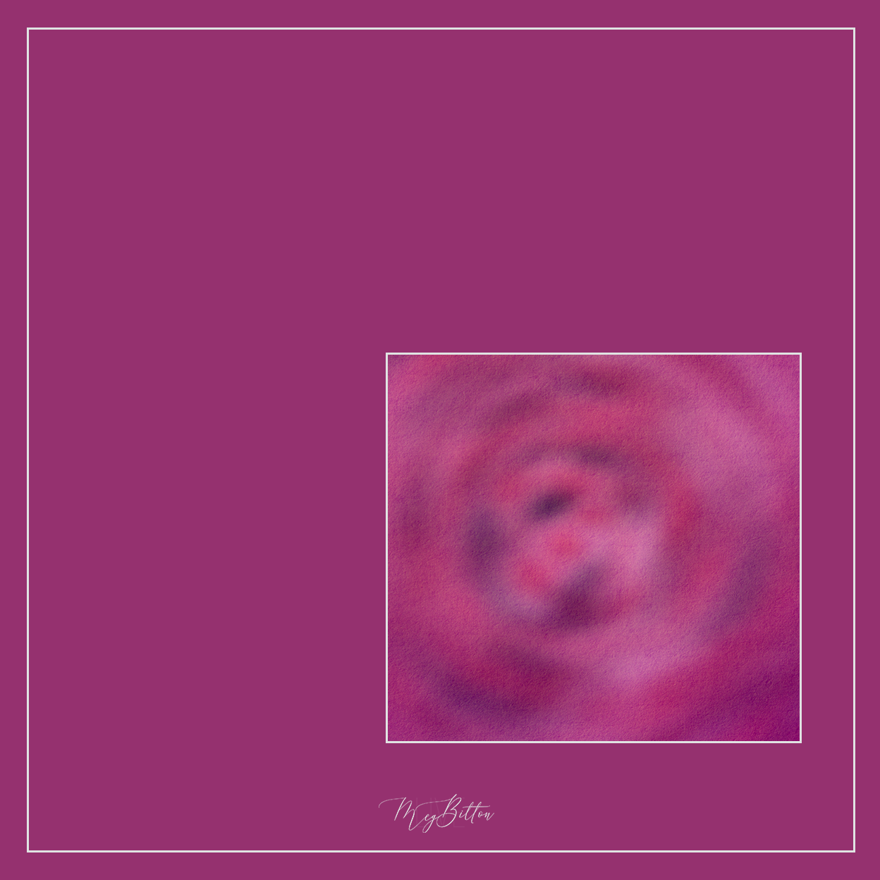 Magical Single Texture - May Day Rose - Meg Bitton Productions
