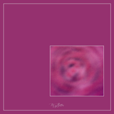 Magical Single Texture - May Day Rose - Meg Bitton Productions