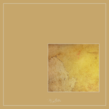 Magical Single Texture - Paris Yellows - Meg Bitton Productions
