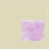 Magical Single Texture - Pastel Blooms - Meg Bitton Productions