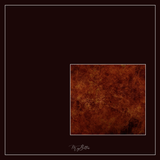 Magical Single Texture - Phoenix Rising - Meg Bitton Productions