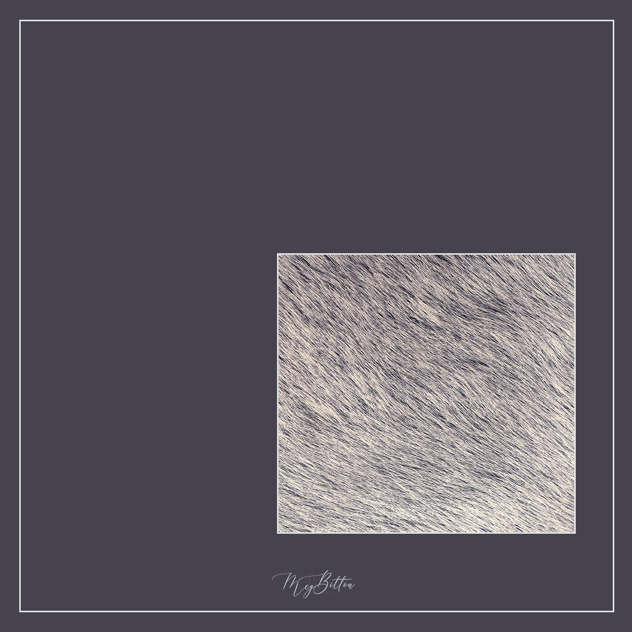 Magical Single Texture - Puppy Coat - Meg Bitton Productions