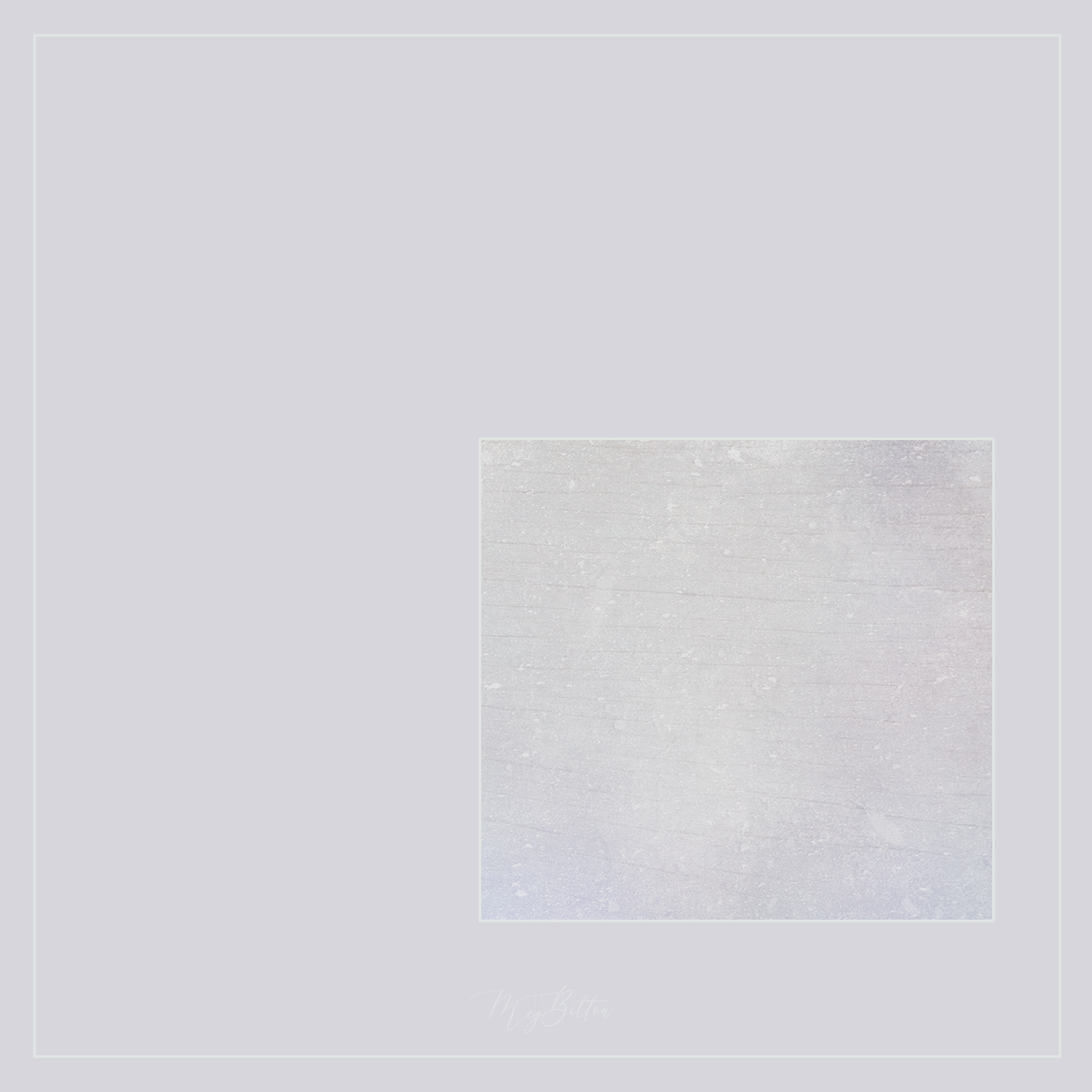 Magical Single Texture - Sea Shell - Meg Bitton Productions