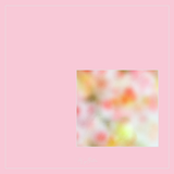 Magical Single Texture - Spring Has Sprung - Meg Bitton Productions