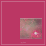 Magical Single Texture - Standout - Meg Bitton Productions