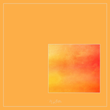 Magical Single Texture - Tropical Color - Meg Bitton Productions