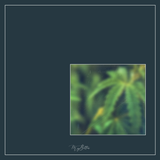 Magical Single Texture - Weed Wonder - Meg Bitton Productions