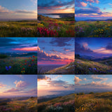Daydreamer Vista Background Bundle