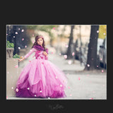 Magical Rose Petal Overlays