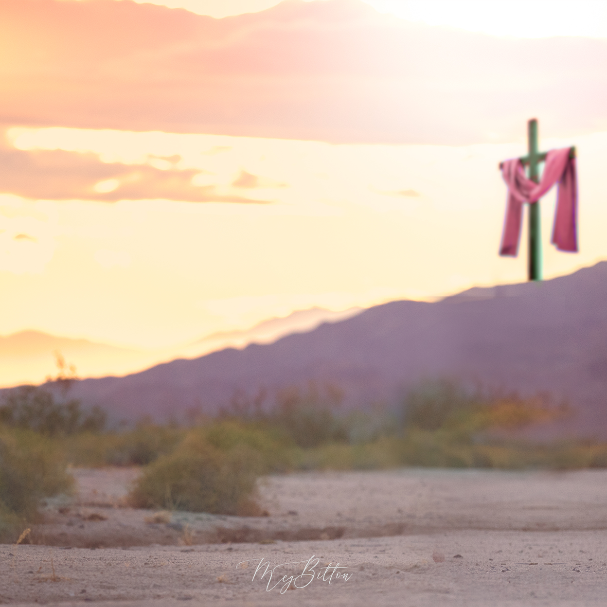 Digital Background: He Has Risen - Meg Bitton Productions