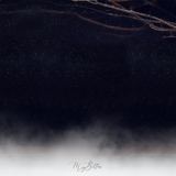 Digital Background: Snow Fog - Meg Bitton Productions