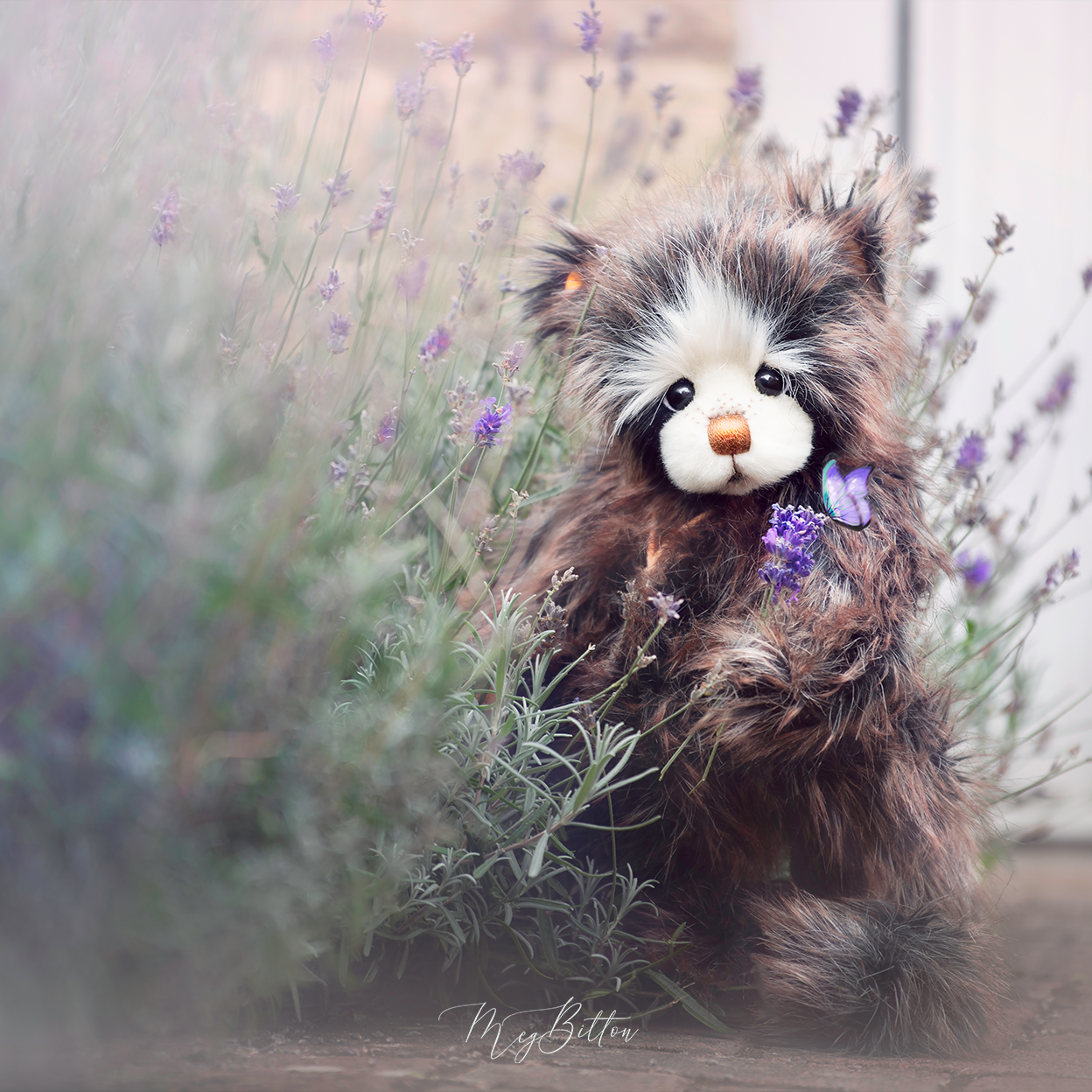 Essentials of Plush Portraits - March 2023 - Meg Bitton Productions
