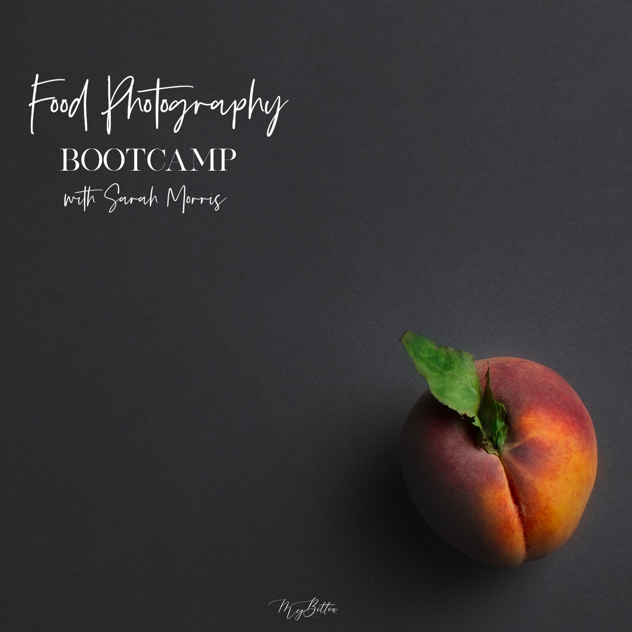 Food Photography Bootcamp - November 2019 - Meg Bitton Productions
