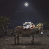 Holiday Magic Fundamentals - Meg Bitton Productions