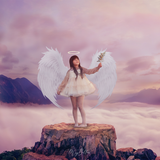 The Heavenly Kit - Meg Bitton Productions