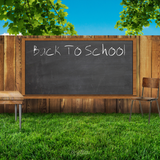 Back to Learning Mini Bundle - Meg Bitton Productions