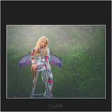 Magical Pixie Wings - Meg Bitton Productions
