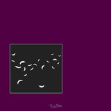 Magical Single Brush - Falling Feathers - Meg Bitton Productions