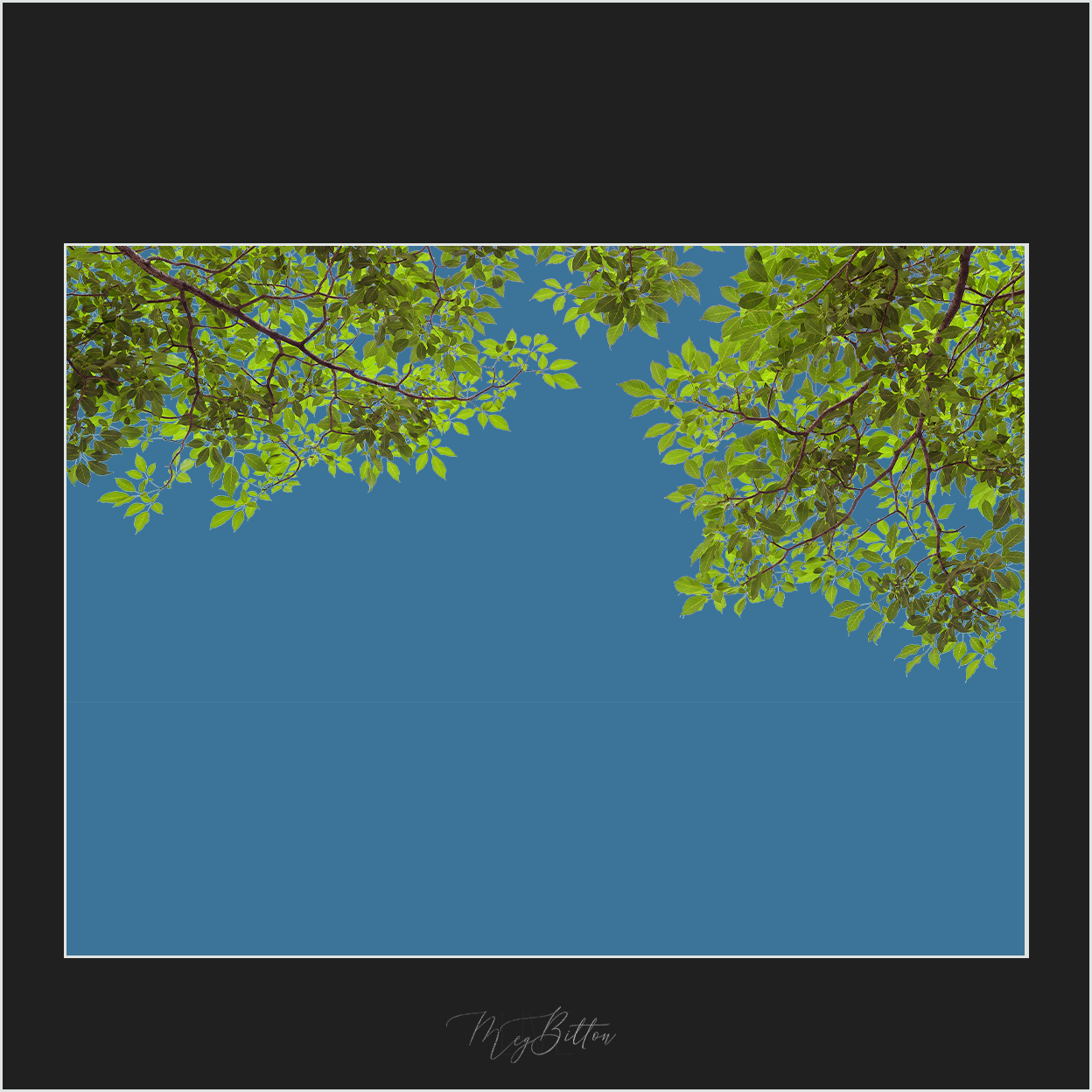 Magical Tree Branches Overlay - Meg Bitton Productions