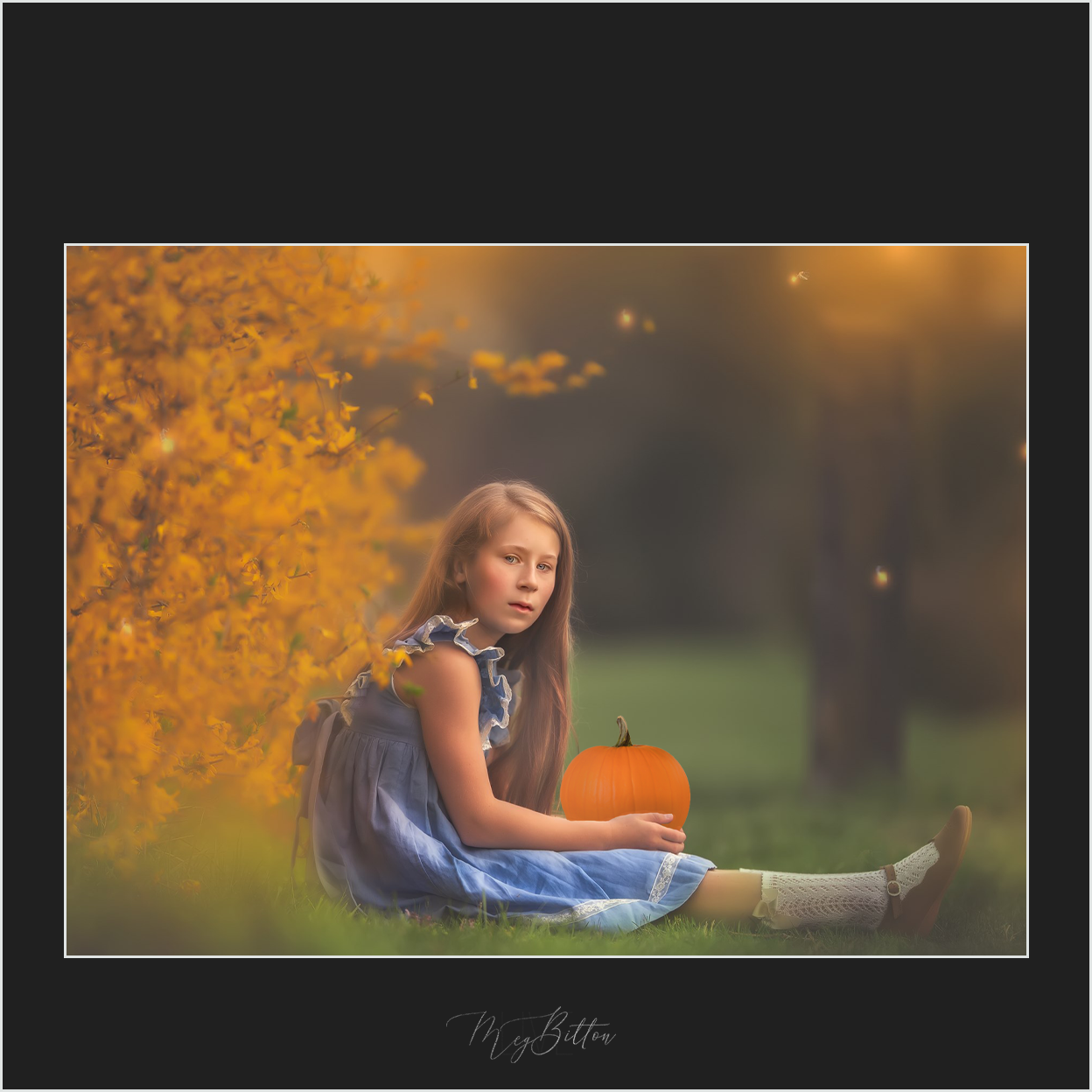 Magical Pumpkin Overlays - Meg Bitton Productions