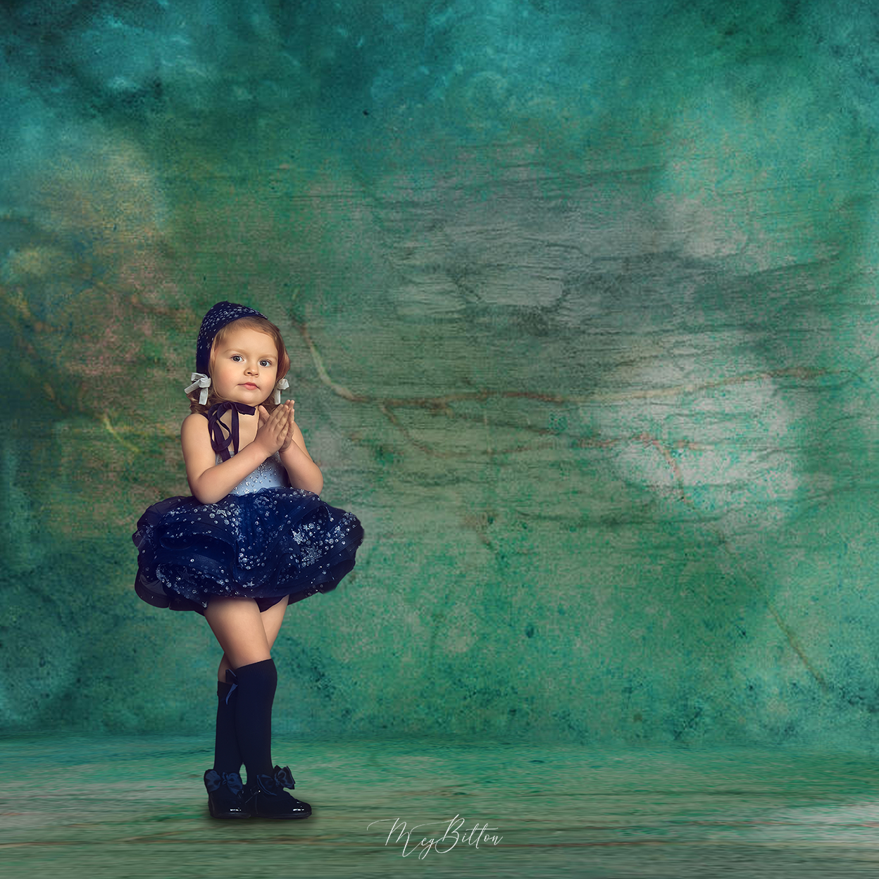 Digital Studio Backdrop: Sandbar - Meg Bitton Productions