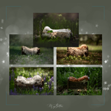 Outdoor Newborn Nest Digital Background Bundle - Meg Bitton Productions
