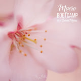 Macro Bootcamp - October 2019 - Meg Bitton Productions